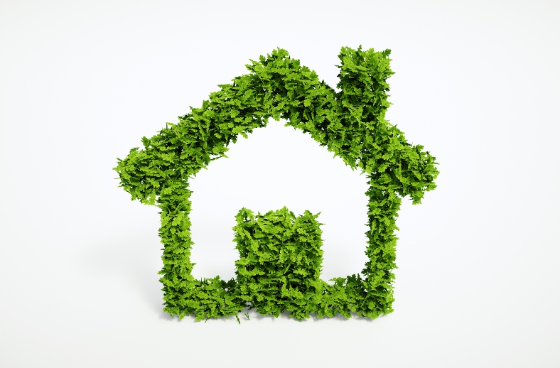 Green Homes Image - resized.jpg